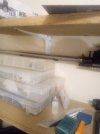 IMG_20250404_022013.jpg
